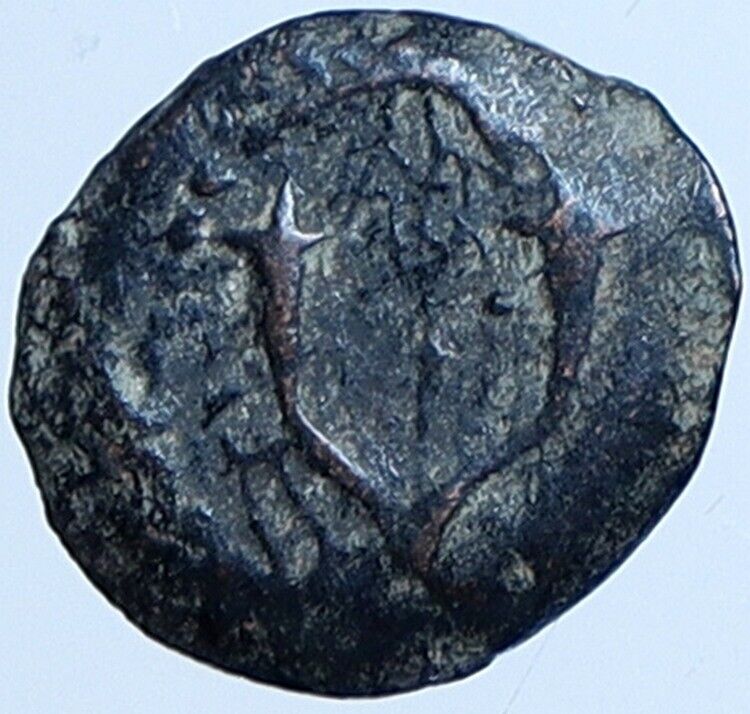 Salome Alexandra JOHN HYRCANUS II or ARISTOBULUS II Jewish Coin Hen 1159 i113681