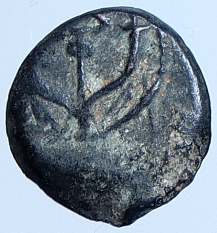 Salome Alexandra JOHN HYRCANUS II or ARISTOBULUS II Jewish Coin Hen 1159 i113682