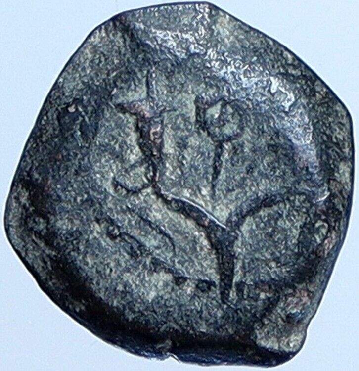 Salome Alexandra JOHN HYRCANUS II or ARISTOBULUS II Jewish Coin Hen 1159 i113685