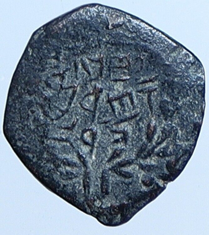 Salome Alexandra JOHN HYRCANUS II or ARISTOBULUS II Jewish Coin Hen 1159 i113685