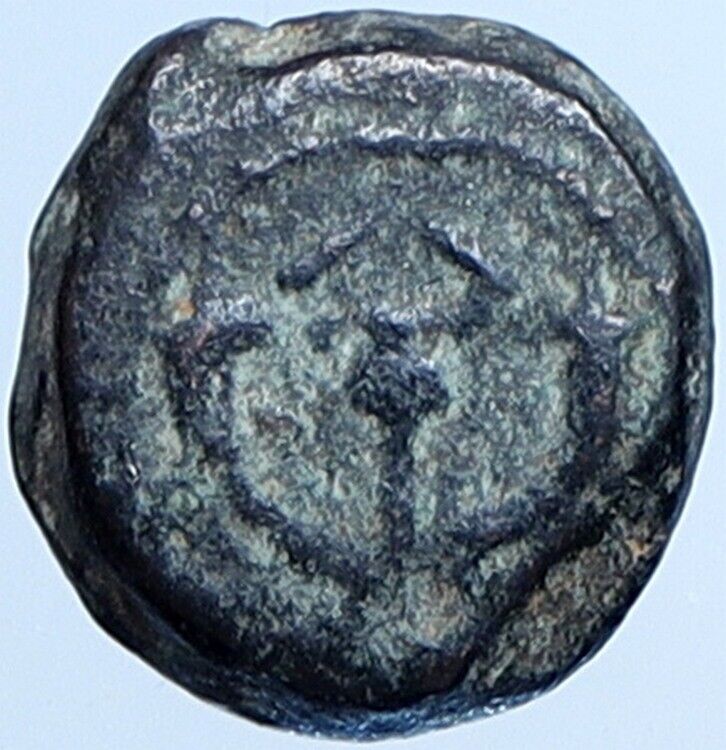 Salome Alexandra JOHN HYRCANUS II or ARISTOBULUS II Jewish Coin Hen 1159 i113687