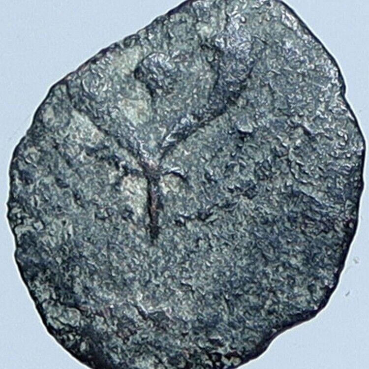 ALEXANDER JANNAEUS Biblical Jerusalem Jewish Widow's Mite Coin Hend 1145 i114229