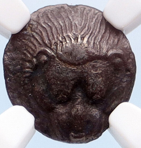 PANTIKAPAION Black Sea Bosporus RARE R2 Ancient Silver Greek Coin NGC XF i60125