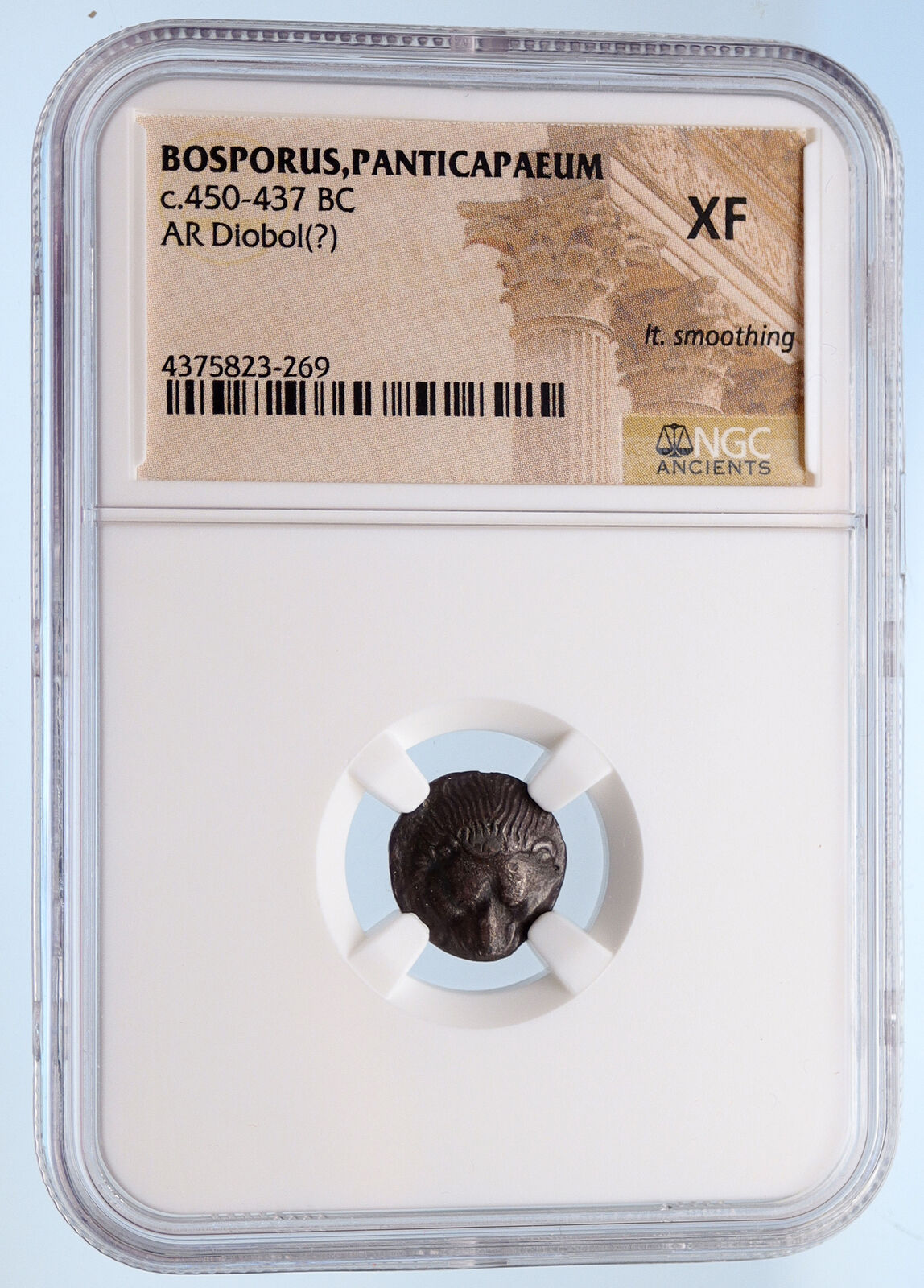 PANTIKAPAION Black Sea Bosporus RARE R2 Ancient Silver Greek Coin NGC XF i60125