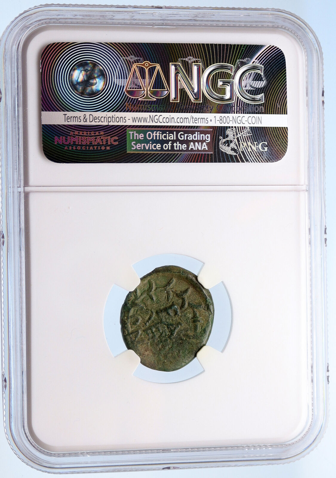 OLYMPIA in ELIS OLYMPIC GAMES Home 2CnBC Authentic Ancient Greek Coin NGC i60218