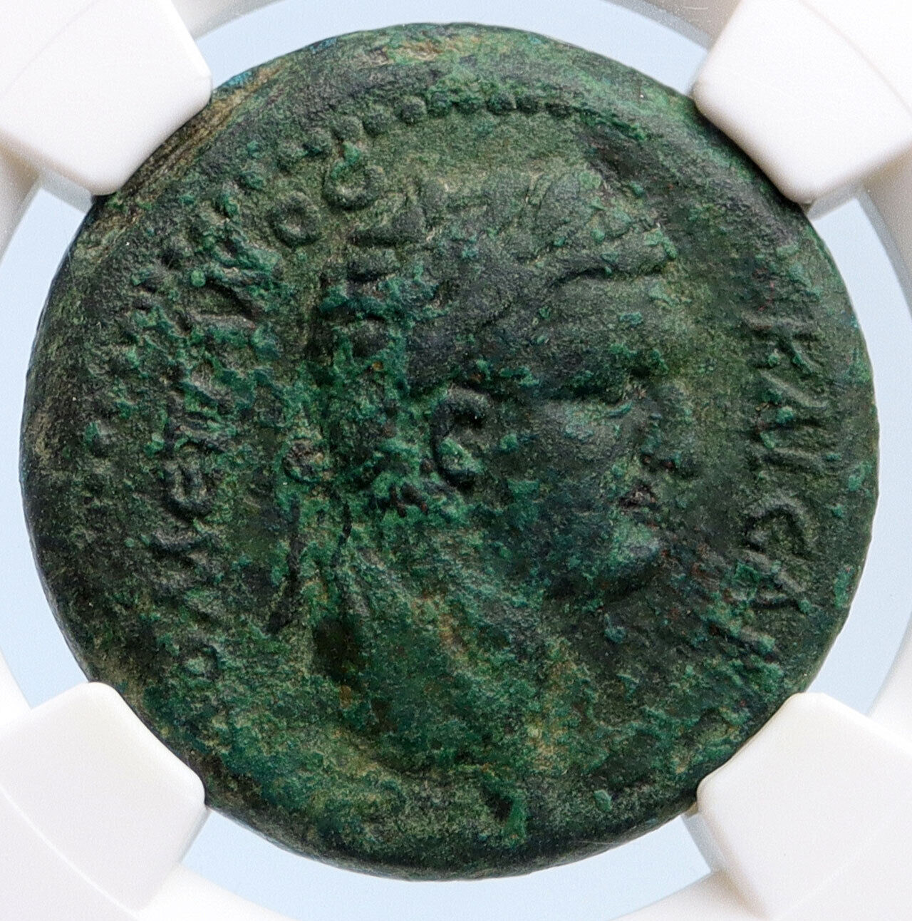 DOMITIAN 81AD Flaviopolis in Cilicia OLD Roman Coin DISCURI GEMINI NGC i63633