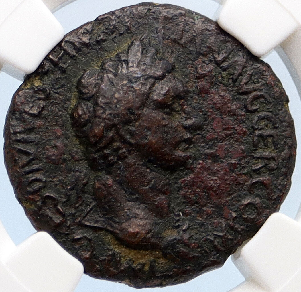 DOMITIAN with Judaea Herodian King AGRIPPA II 85AD Ancient Roman Coin NGC i66647