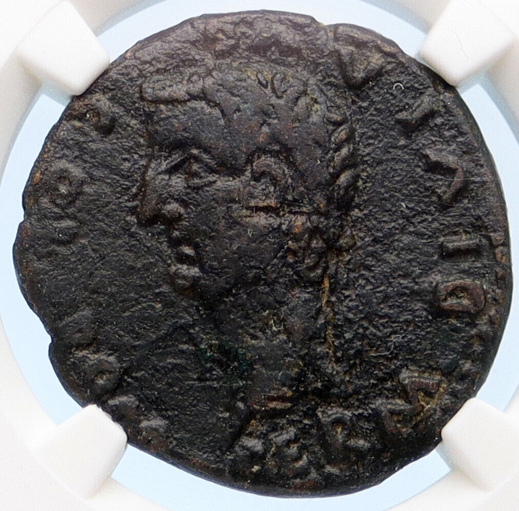 TIBERIUS Germanicus & Drusus COLONIA ROMULA Spain Ancient Roman Coin NGC i60261