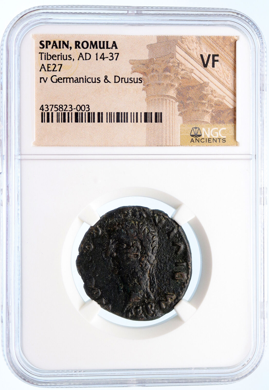 TIBERIUS Germanicus & Drusus COLONIA ROMULA Spain Ancient Roman Coin NGC i60261