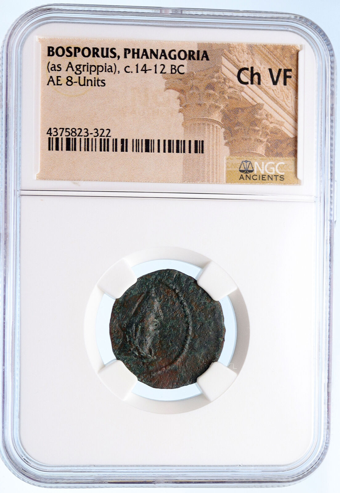 Phanagoria as Agrippia Bosporus 14BC Livia Aprodite Galley Greek Coin NGC i60245