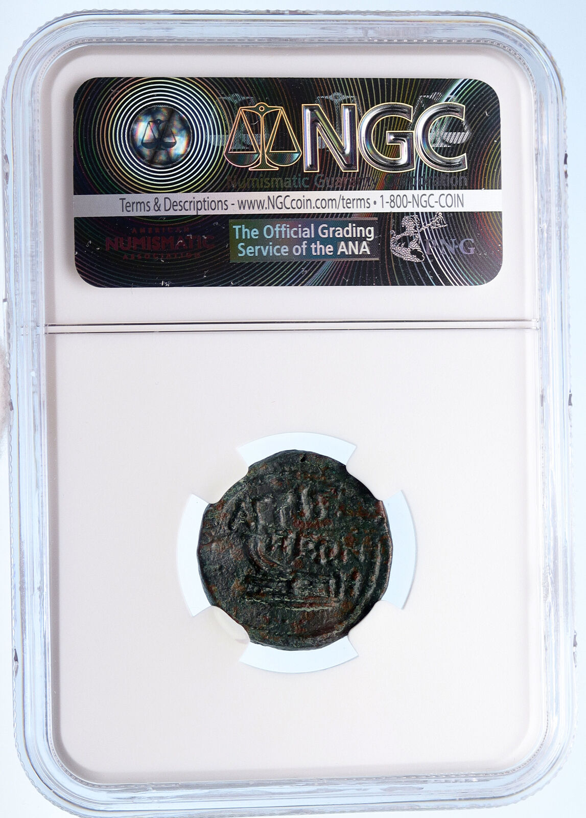 Phanagoria as Agrippia Bosporus 14BC Livia Aprodite Galley Greek Coin NGC i60245