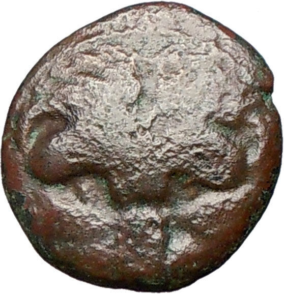 RHEGION Bruttium Italy 351BC Lion Apollo Authentic Ancient Greek Coin i24843