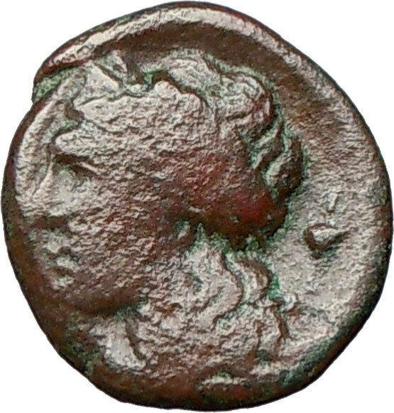 RHEGION Bruttium Italy 351BC Lion Apollo Authentic Ancient Greek Coin i24843