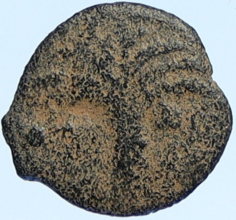 MARCUS AMBIBULUS Augustus Jerusalem Ancient 8-11AD BIBLICAL Roman Coin i112985