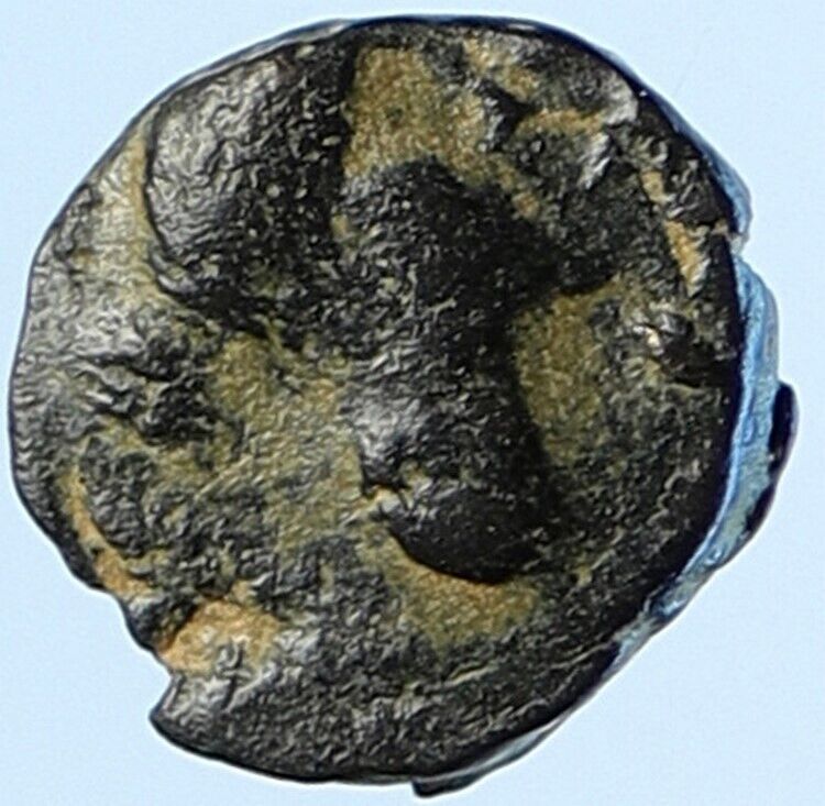 SELEUKOS IV Philopater Seleukid OLD Greek Coin QUEEN LAODIKE IV Elephant i112989