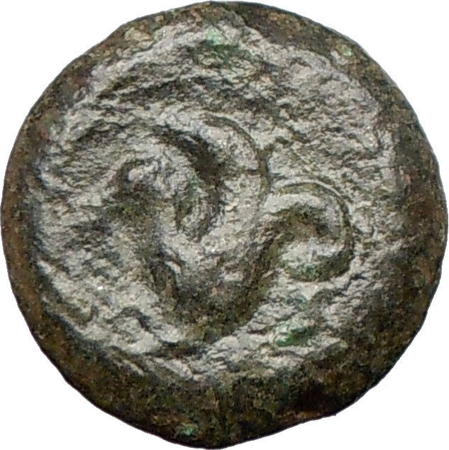 SYRACUSE 344BCSicily Athena Cult Sea horse Rare Ancient Greek Coin i27058