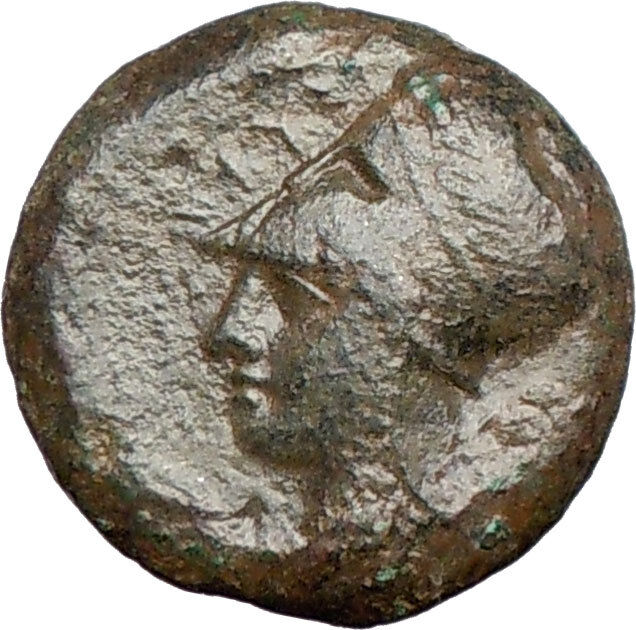 SYRACUSE 344BCSicily Athena Cult Sea horse Rare Ancient Greek Coin i27058