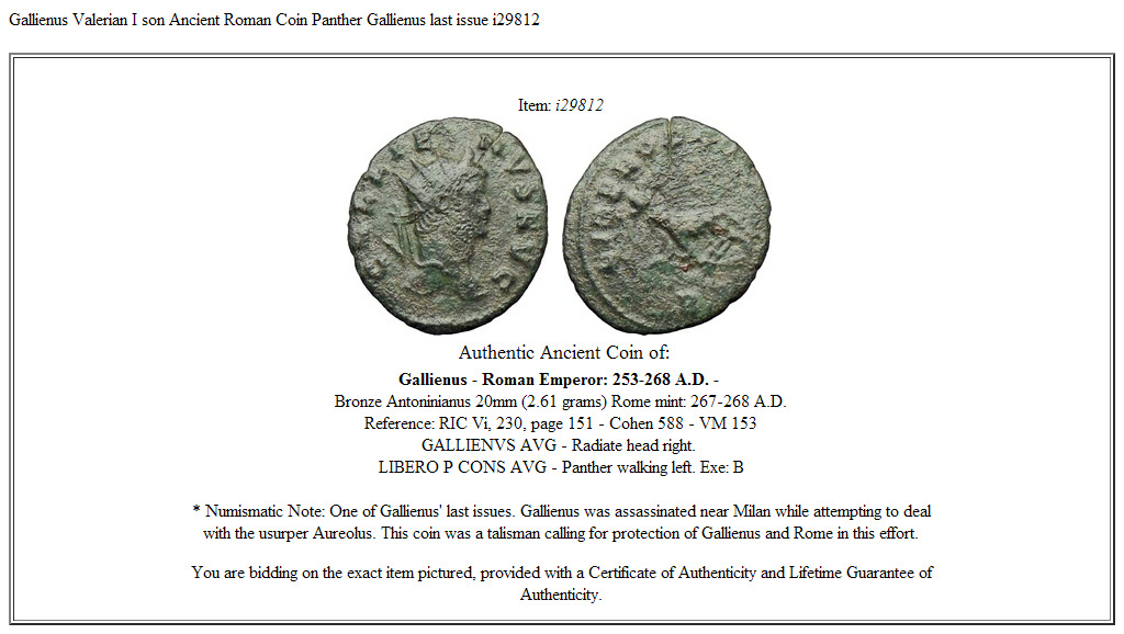 Gallienus Valerian I son Ancient Roman Coin Panther Gallienus last issue i29812