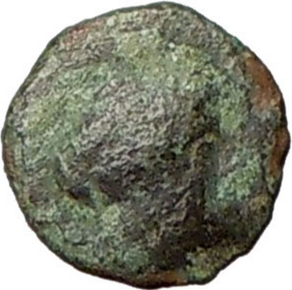 Aigai in AIOLIS 300BC Rare Ancient Greek Coin Apollo Goat head i27579