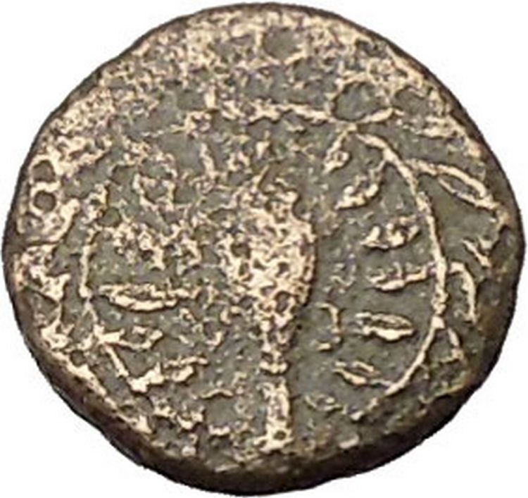 Elaia in Asia Minor 4th-3rdCentBC Ancient Greek Coin Athena Corn-grain i46039