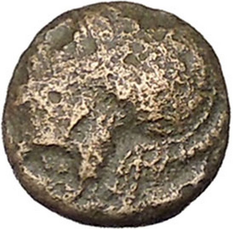 Elaia in Asia Minor 4th-3rdCentBC Ancient Greek Coin Athena Corn-grain i46039