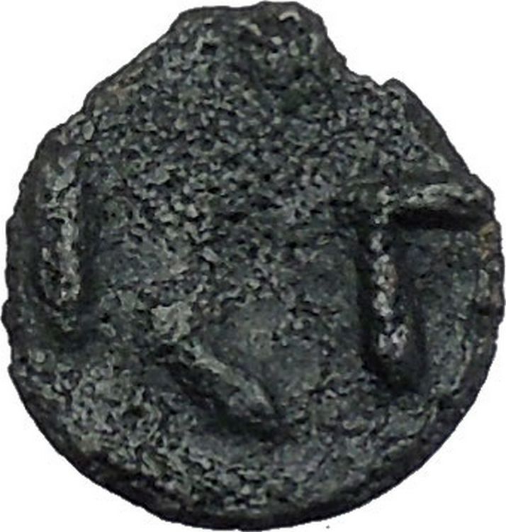 ISTROS Thrace 500BC Wheel Money Authentic Ancient Greek Coin BLACK SEA i46833