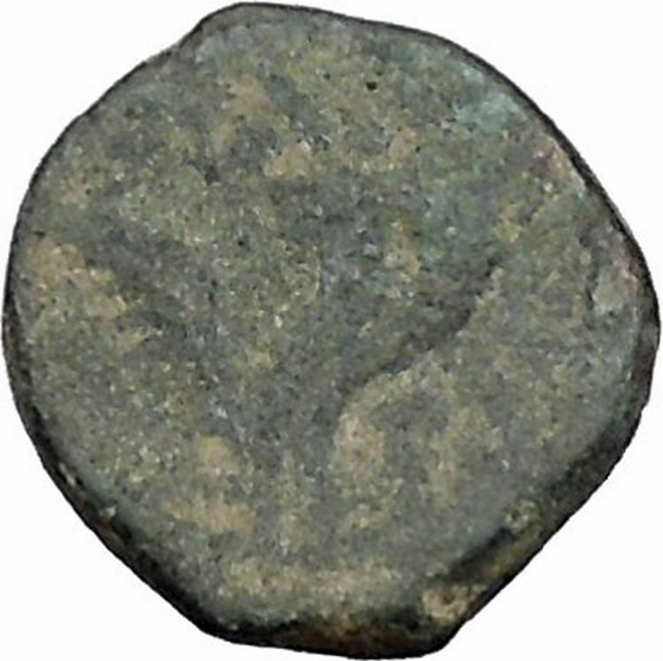 ARETAS IV 9BC Arab Kingdom of Nabataea Authentic Ancient PETRA Greek Coin i46935