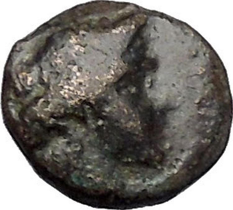 ABYDOS in TROAS 300BC Ancient Greek Coin APOLLO Cult Eagle wings closed i47313