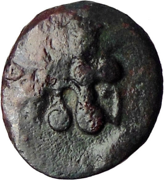 Lysimachos 323BC Lion Grain Ear Possibly Unpublished Ancient Greek Coin i30670