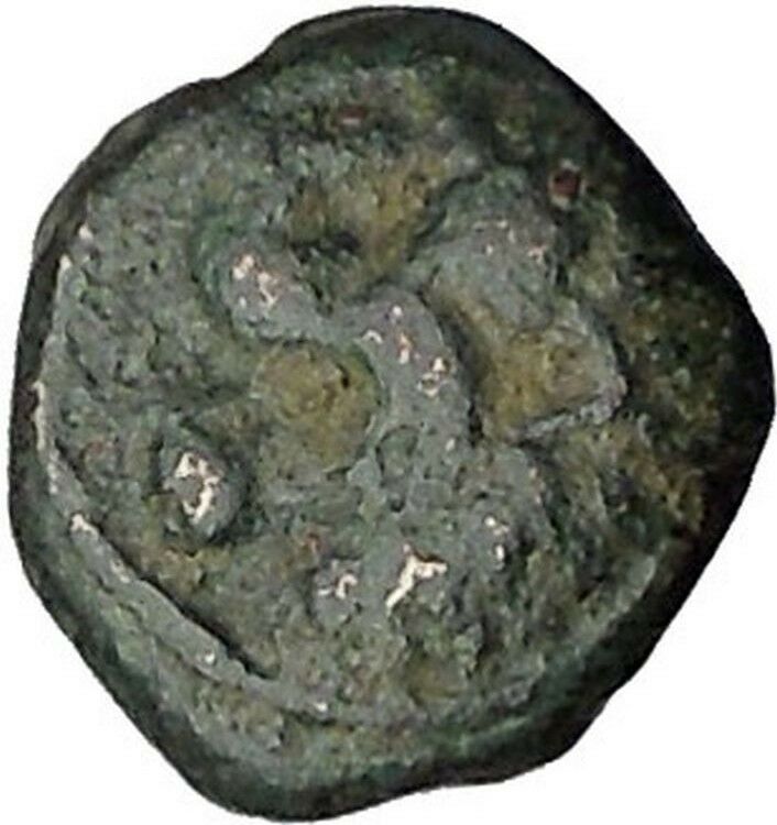 CHERSONESOS in THRACE 386BC RARE Ancient Greek Coin Lion Barley Grain i47290