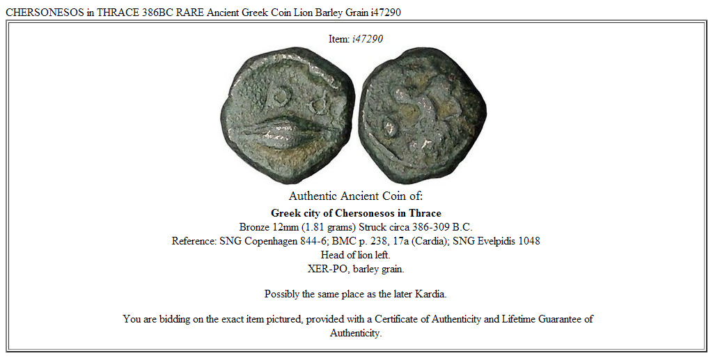 CHERSONESOS in THRACE 386BC RARE Ancient Greek Coin Lion Barley Grain i47290