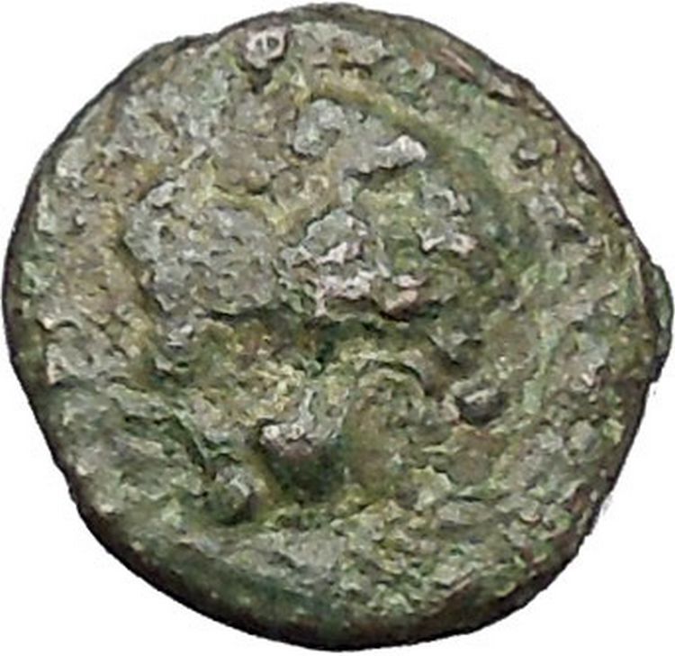 CHERSONESOS in THRACE 386BC RARE Ancient Greek Coin Lion Barley Grain i47286