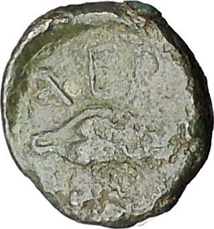 CHERSONESOS in THRACE 386BC RARE Ancient Greek Coin Lion Barley Grain i47286