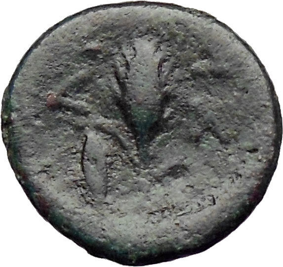 Lysimachos 323BC Lion Grain Ear Possibly Unpublished Ancient Greek Coin i30670