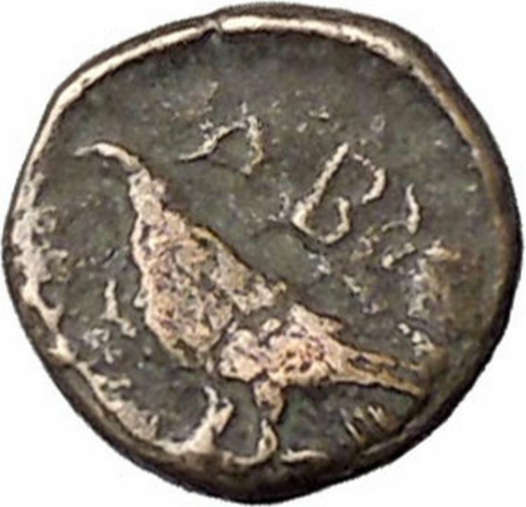 ABYDOS in TROAS 320BC Apollo Eagle Authentic Original Ancient Greek Coin i47743