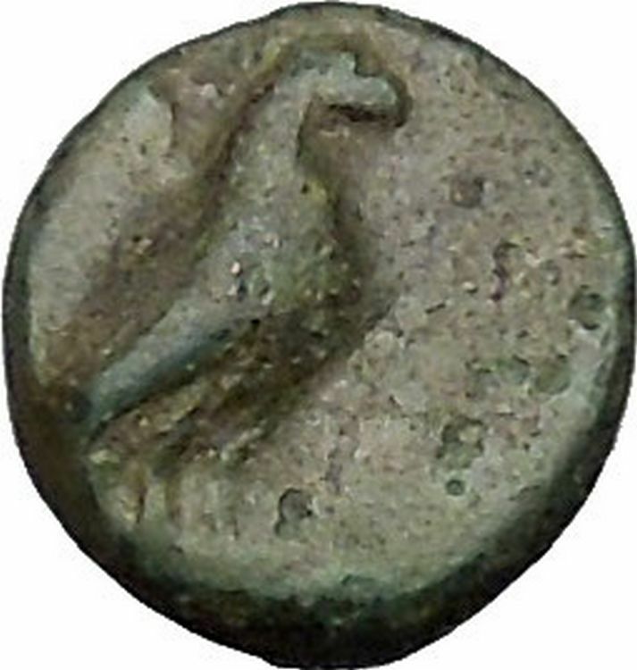 Kyme in Aeolis 350BC EAGLE & VASE on Authentic Ancient Greek Coin i48067