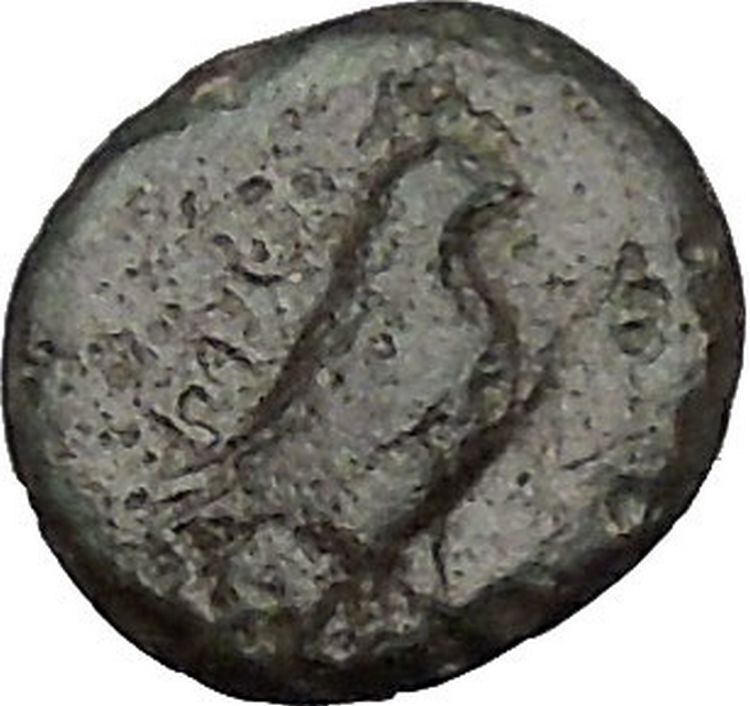 Kyme in Aeolis 350BC EAGLE & VASE on Authentic Ancient Greek Coin i48069