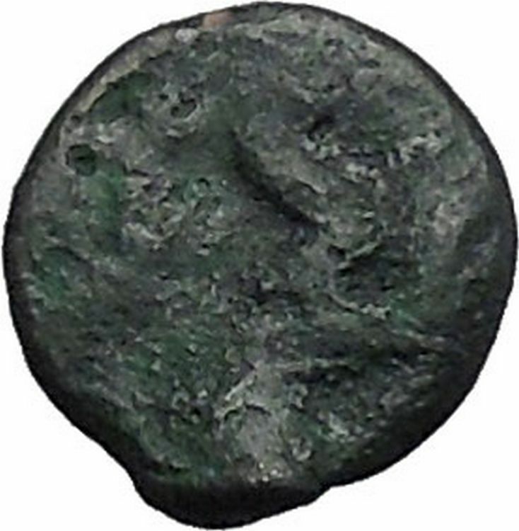 ISTROS Thrace 500BC Wheel Money Authentic Ancient Greek Coin BLACK SEA i48206