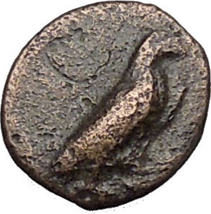Kyme in Aeolis 350BC EAGLE & VASE on Authentic Ancient Greek Coin i48062