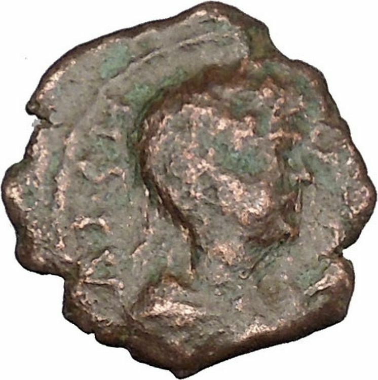 CARACALLA Nicopolis ad Istrum Rare Ancient Roman Coin Basket of fruit i48371