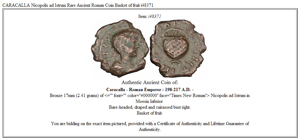 CARACALLA Nicopolis ad Istrum Rare Ancient Roman Coin Basket of fruit i48371