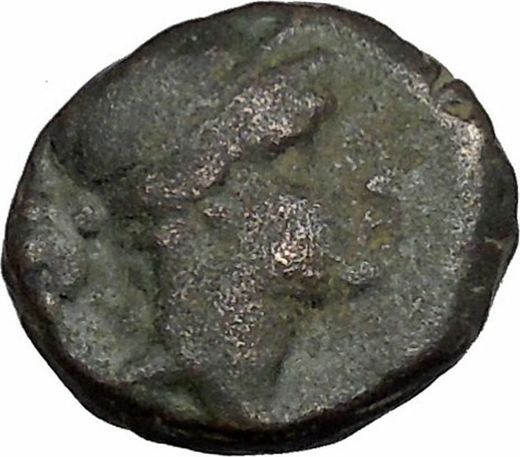 Seleukos III Keraunos 226BC Seleukid Apollo Artemis Ancient Greek Coin i48327