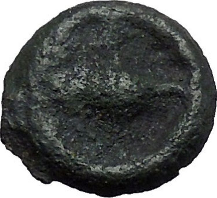 ISTROS Thrace 500BC Wheel Money Authentic Ancient Greek Coin BLACK SEA i48209