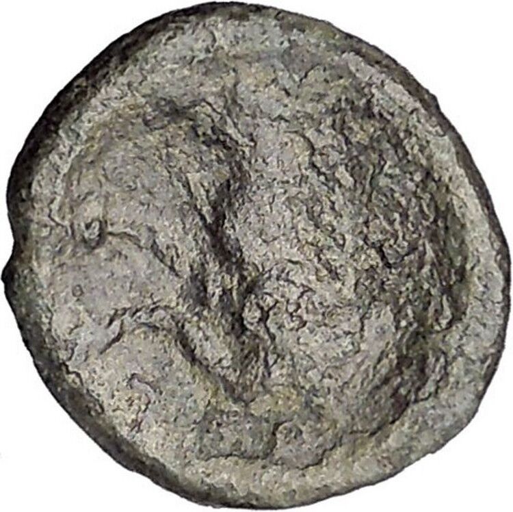 TERMESSOS MAJOR in PISIDIA 51BC Zeus Horse Authentic Ancient Greek Coin i47178