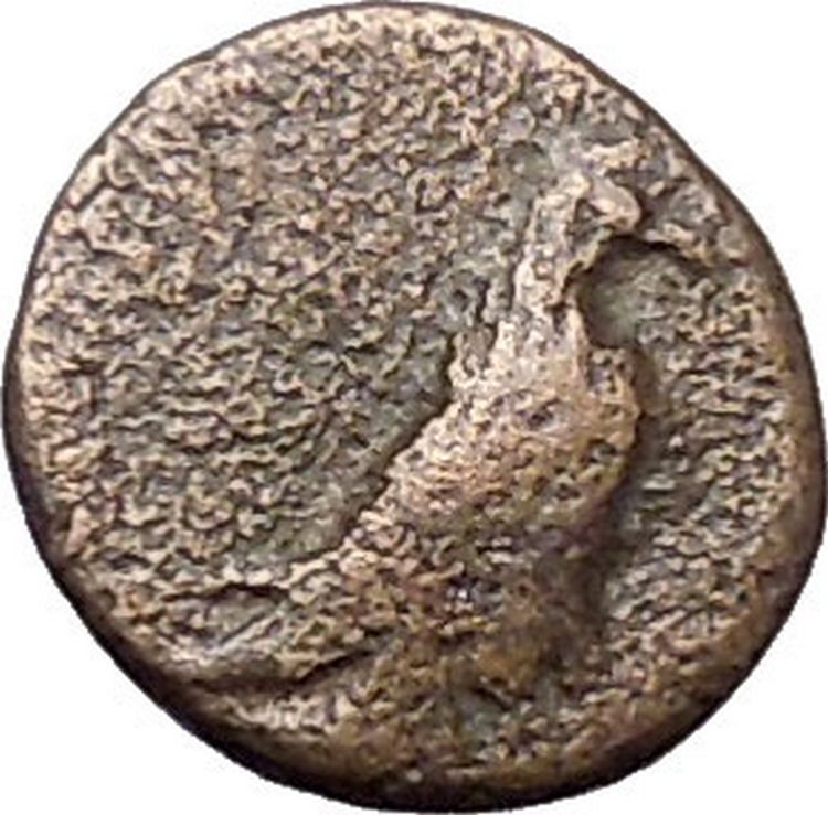 Kyme in Aeolis 350BC EAGLE & VASE on Authentic Ancient Greek Coin i48608