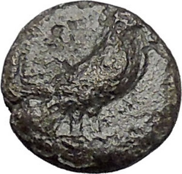 Kyme in Aeolis 350BC EAGLE & VASE on Authentic Ancient Greek Coin i48609