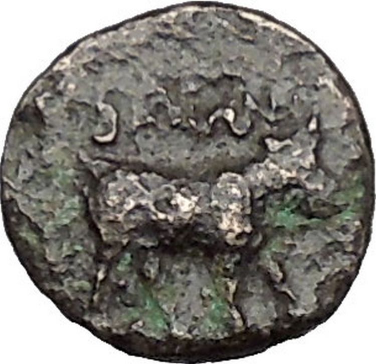 Boione in Aiolis 300BC Rare Authentic Ancient Greek Coin Female BULL i49026