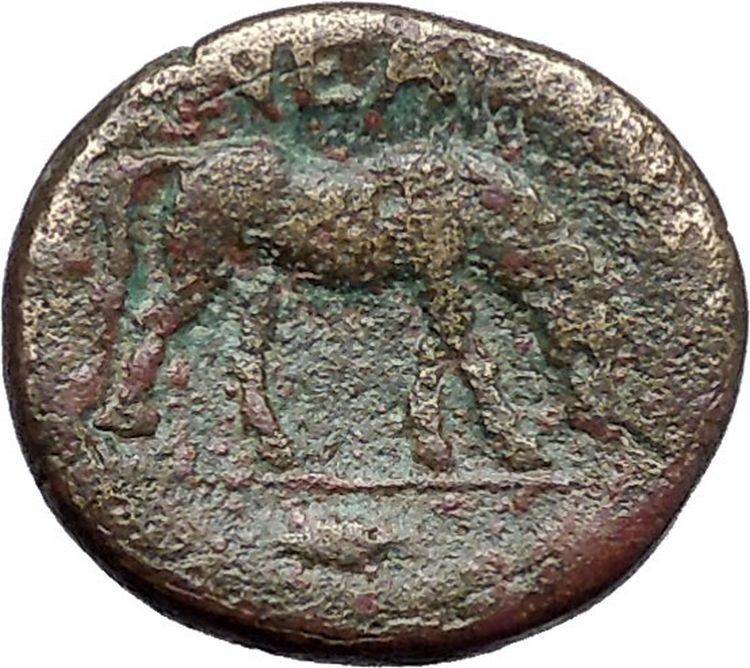 Neandreia in Troas 350BC Apollo Horse Authentic Ancient Greek Coin i49186