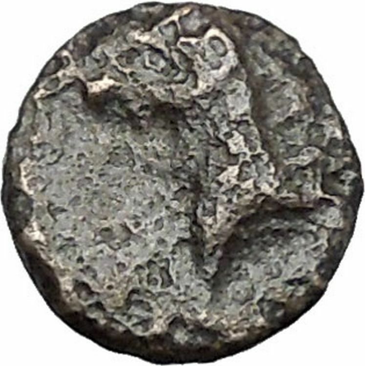 Phokaia in Ionia 350BC Nymph Griffin Authentic Ancient Greek Coin i49103