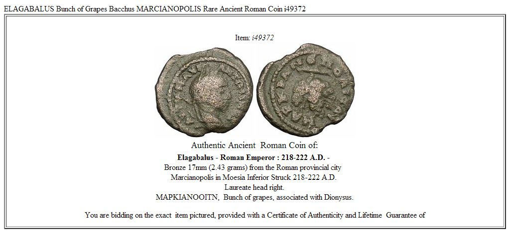 ELAGABALUS Bunch of Grapes Bacchus MARCIANOPOLIS Rare Ancient Roman Coin i49372